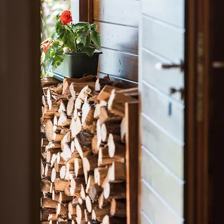 Vomperberg Apartment