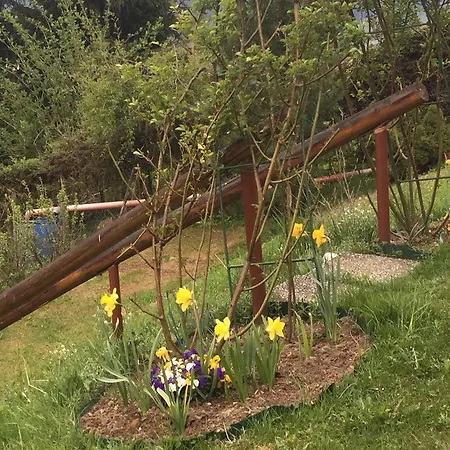 Vomperberg Apartment *